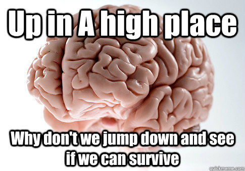Up in A high place Why don't we jump down and see if we can survive  Scumbag Brain