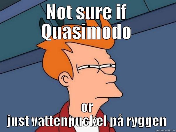 Paddanärkungskojja xd xd  - NOT SURE IF QUASIMODO OR JUST VATTENPUCKEL PÅ RYGGEN Futurama Fry
