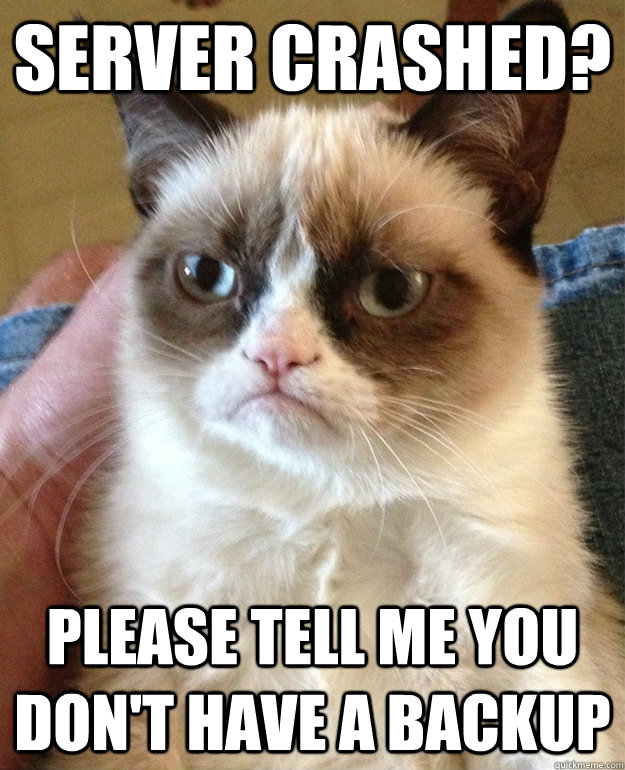 Server Crashed? Please tell me you don't have a backup - Server Crashed? Please tell me you don't have a backup  grumpycat