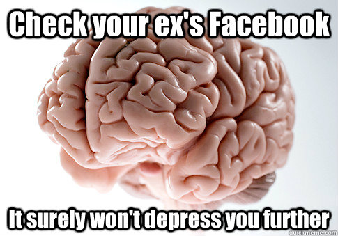 Check your ex's Facebook It surely won't depress you further  Scumbag Brain