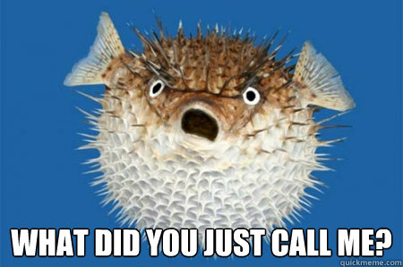  WHAT DID YOU JUST CALL ME? -  WHAT DID YOU JUST CALL ME?  ANGRY BLOWFISH