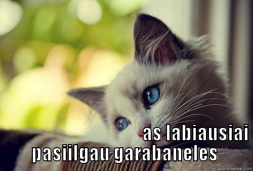                                                       AS LABIAUSIAI PASIILGAU GARABANELES First World Problems Cat