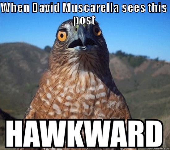 WHEN DAVID MUSCARELLA SEES THIS POST  Misc