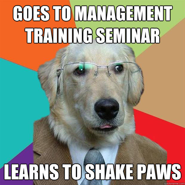 goes to management training seminar learns to shake paws - goes to management training seminar learns to shake paws  Business Dog