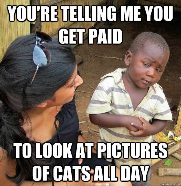 You're telling me you get paid to look at pictures of cats all day  Skeptical Third World Kid