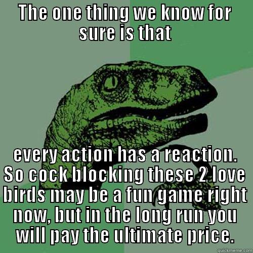 THE ONE THING WE KNOW FOR SURE IS THAT EVERY ACTION HAS A REACTION. SO COCK BLOCKING THESE 2 LOVE BIRDS MAY BE A FUN GAME RIGHT NOW, BUT IN THE LONG RUN YOU WILL PAY THE ULTIMATE PRICE. Philosoraptor