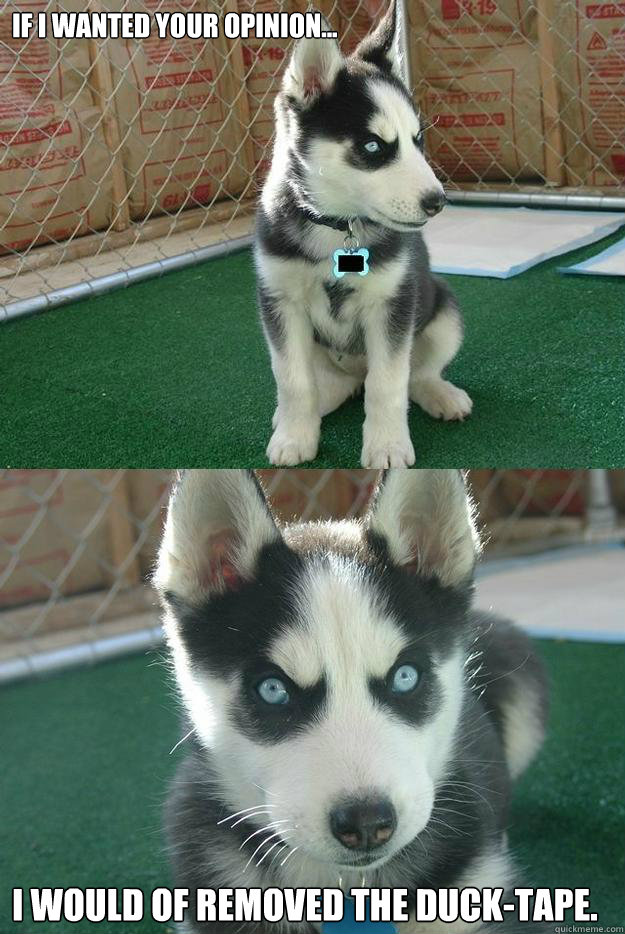 If I wanted your opinion... I would of removed the duck-tape.  Insanity puppy