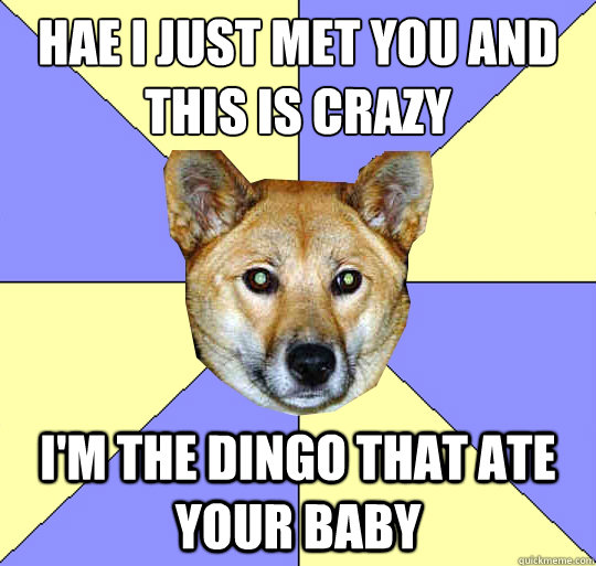 Hae I just met you and this is crazy
 i'm the dingo that ate your baby  