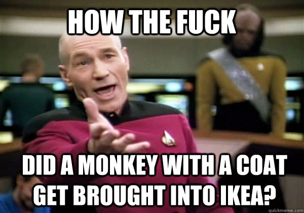 How the fuck Did a monkey with a coat get brought into ikea?  Patrick Stewart WTF