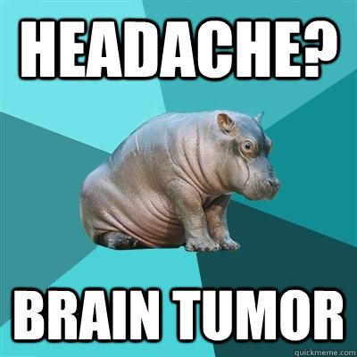 Headache? Brain Tumor - Headache? Brain Tumor  Hypochondriac Hippo