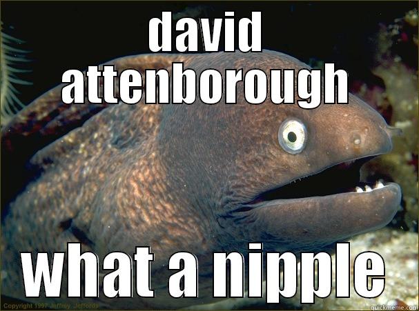 fishy nipple - DAVID ATTENBOROUGH WHAT A NIPPLE Bad Joke Eel