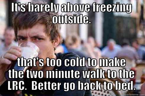 IT'S BARELY ABOVE FREEZING OUTSIDE. THAT'S TOO COLD TO MAKE THE TWO MINUTE WALK TO THE LRC.  BETTER GO BACK TO BED. Lazy College Senior