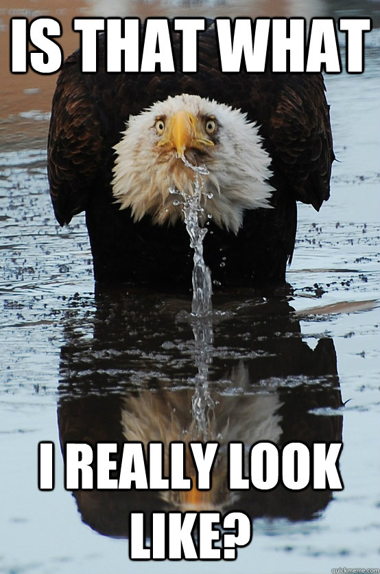 Is that what I really look like? - Is that what I really look like?  Misc