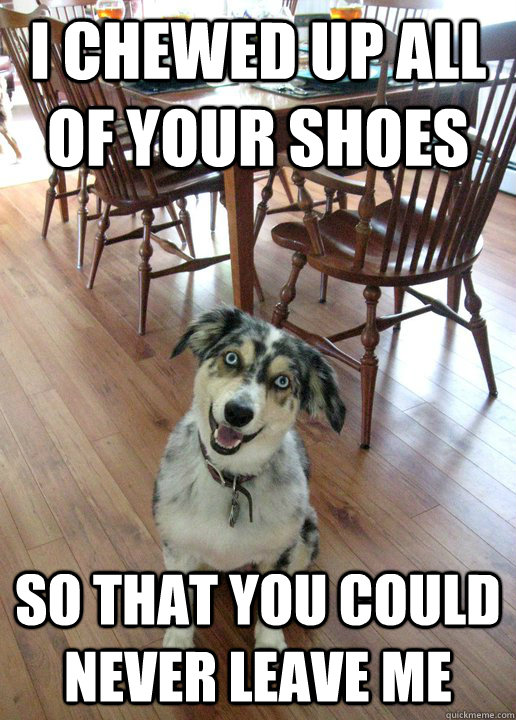 I chewed up all of your shoes So that you could never leave me  