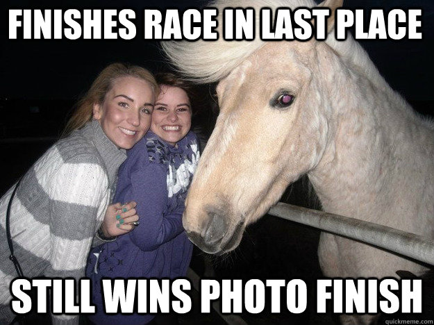 Finishes race in last place still wins photo finish  Ridiculously Photogenic Horse