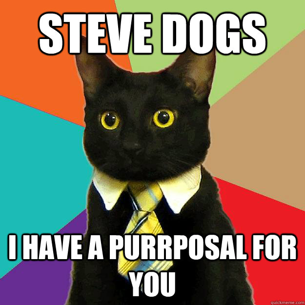 steve dogs i have a purrposal for you - steve dogs i have a purrposal for you  Business Cat Me Gusta Your Report