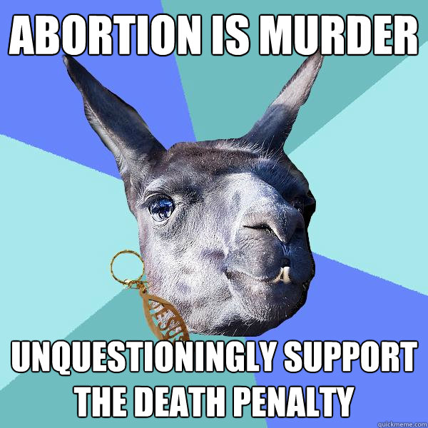 Abortion is Murder Unquestioningly support the death penalty  Christian Mama Llama