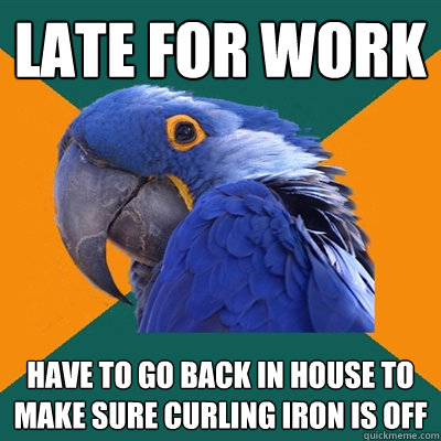 Late for work have to go back in house to make sure curling iron is off  Paranoid Parrot