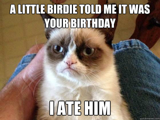 a little birdie told me it was your birthday i ate him - a little birdie told me it was your birthday i ate him  AngryCat