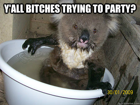 Y'all Bitches trying to party?  - Y'all Bitches trying to party?   Hot tub koala