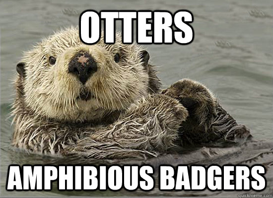 Otters amphibious badgers  Good otter