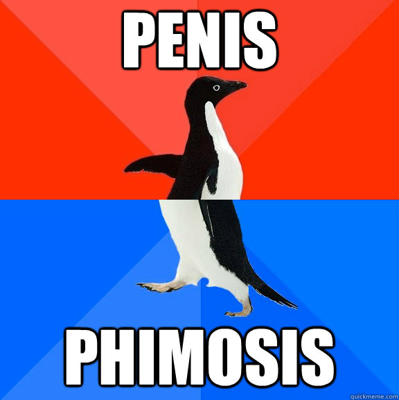 penis phimosis  Socially Awesome Awkward Penguin