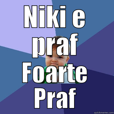 NIKI E PRAF FOARTE PRAF Success Kid