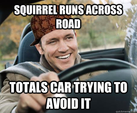 Squirrel Runs Across Road Totals Car Trying to Avoid It  SCUMBAG DRIVER
