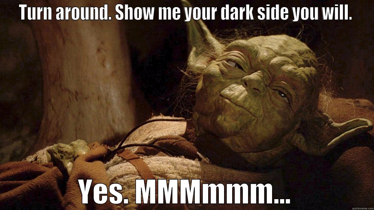 TURN AROUND. SHOW ME YOUR DARK SIDE YOU WILL. YES. MMMMMM... Misc