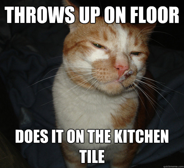 Throws up on Floor Does it on the kitchen tile  Good Guy Cat