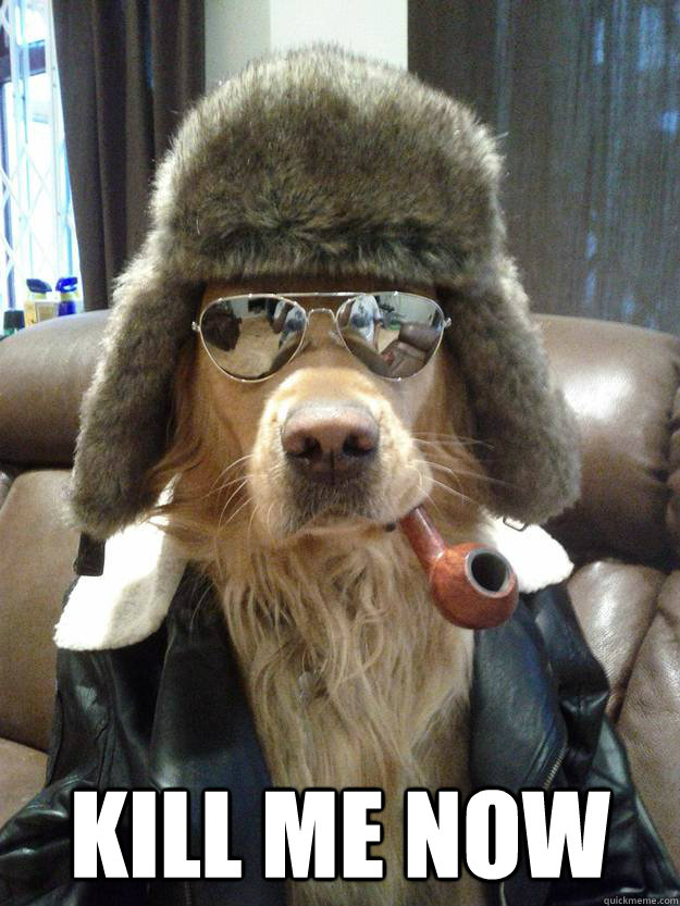  KILL ME NOW -  KILL ME NOW  Overly Suave Dog