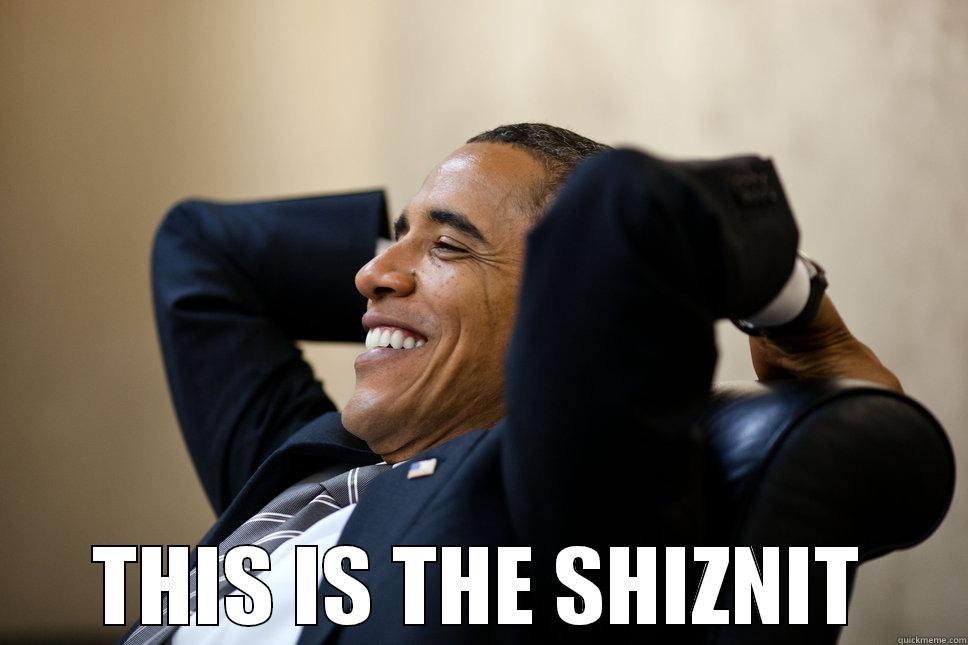 Testing, testing, testing, 123... -  THIS IS THE SHIZNIT Misc