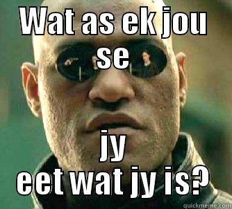 WAT AS EK JOU SE JY EET WAT JY IS? Matrix Morpheus