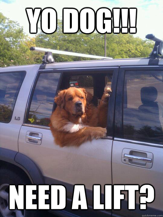 Yo DOg!!! need a lift?  