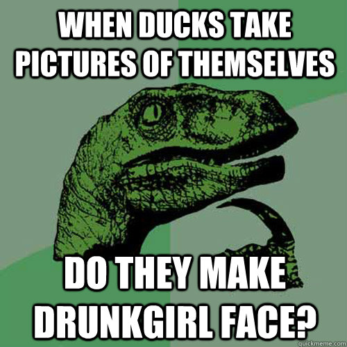 When ducks take pictures of themselves do they make drunkgirl face? - When ducks take pictures of themselves do they make drunkgirl face?  Philosoraptor