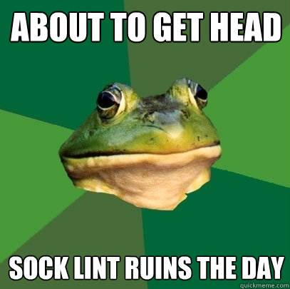 About to get head Sock lint ruins the day  Foul Bachelor Frog