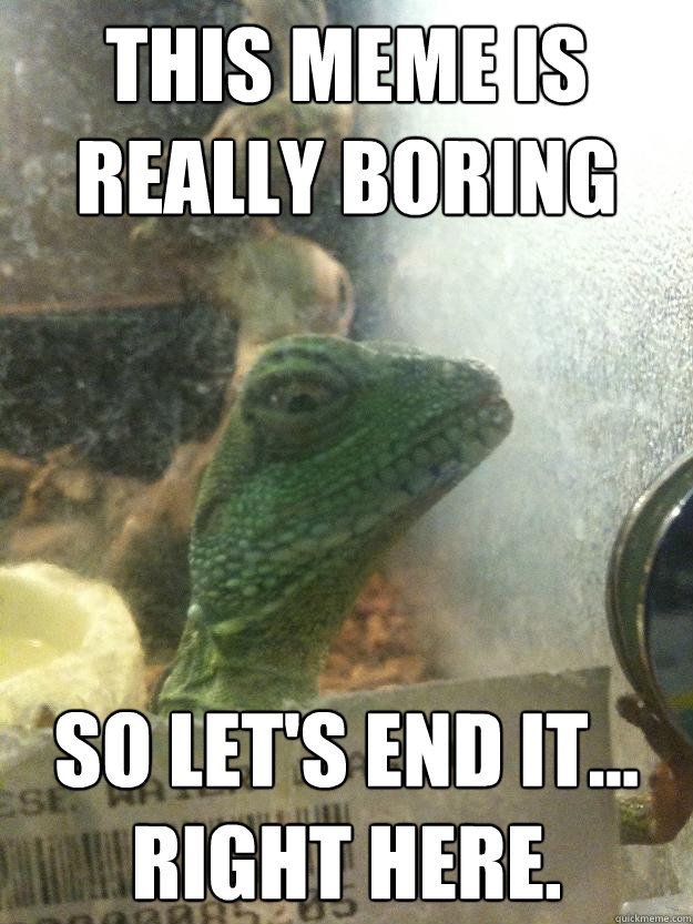 this meme is really boring so let's end it... right here.  Leery Lizard