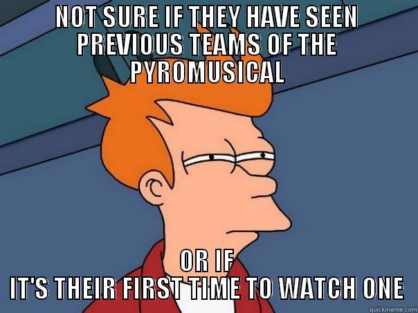 NOT SURE IF THEY HAVE SEEN PREVIOUS TEAMS OF THE PYROMUSICAL OR IF IT'S THEIR FIRST TIME TO WATCH ONE Futurama Fry