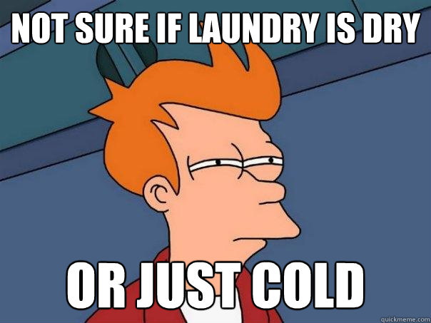 Not sure if laundry is dry Or just cold  Futurama Fry