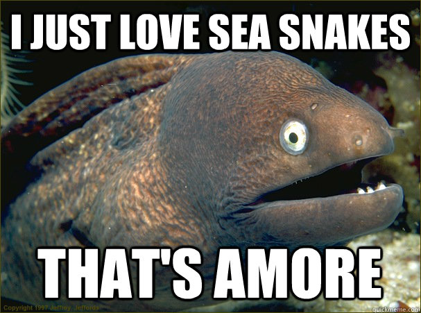 I just love sea snakes that's amore  Bad Joke Eel