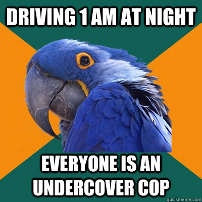 Driving 1 am at night Everyone is an undercover cop  Paranoid Parrot