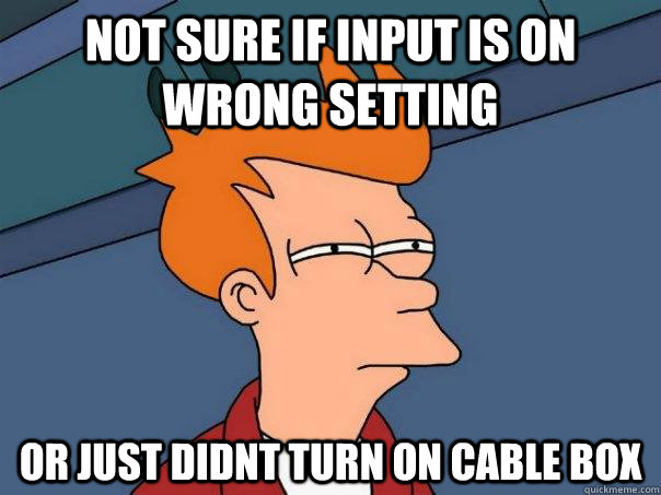 Not sure if input is on wrong setting or just didnt turn on cable box  Futurama Fry