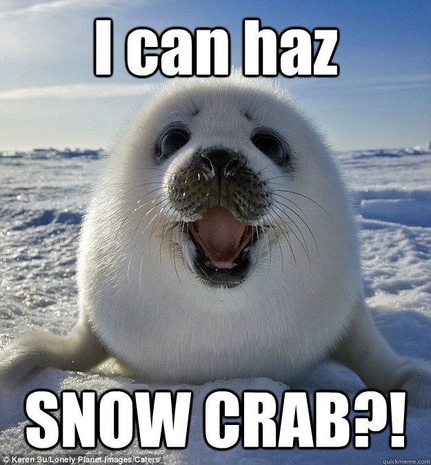 I can haz SNOW CRAB?!  Easily Pleased Seal