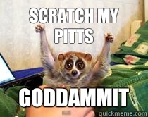 Scratch my pitts Goddammit - Scratch my pitts Goddammit  American Studies Slow Loris