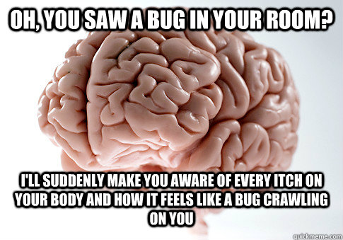 Oh, you saw a bug in your room? I'll suddenly make you aware of every itch on your body and how it feels like a bug crawling on you  ScumbagBrain