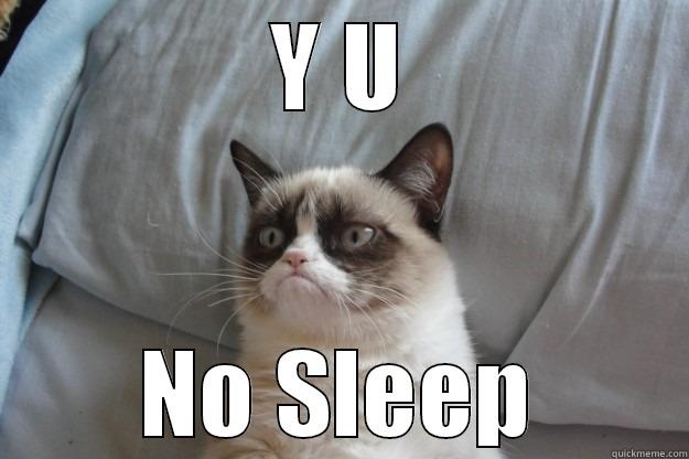 Y U NO SLEEP Grumpy Cat