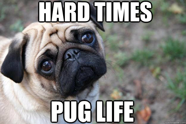 HARD TIMES PUG LIFE - HARD TIMES PUG LIFE  First World Dog problems