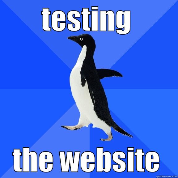 TESTING THE WEBSITE Socially Awkward Penguin