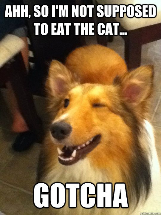 Ahh, so I'm not supposed to eat the cat... Gotcha  implying dog