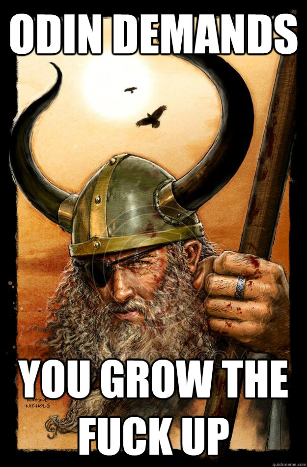 Odin demands YOU GROW THE FUCK UP - Odin demands YOU GROW THE FUCK UP  Odin